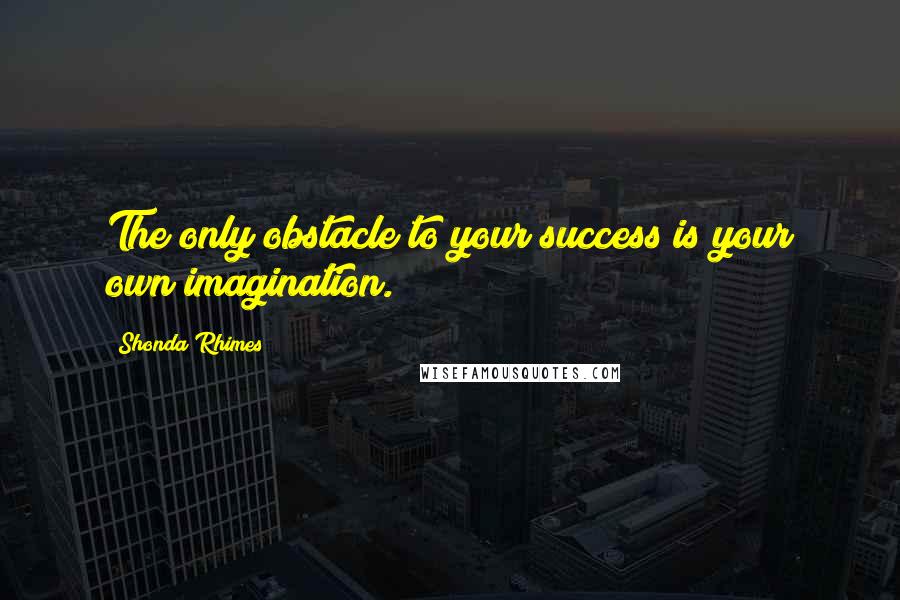 Shonda Rhimes Quotes: The only obstacle to your success is your own imagination.