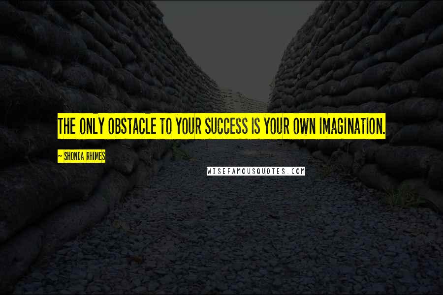 Shonda Rhimes Quotes: The only obstacle to your success is your own imagination.