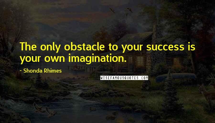 Shonda Rhimes Quotes: The only obstacle to your success is your own imagination.