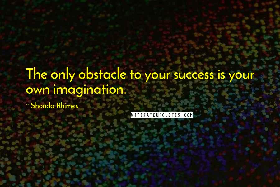 Shonda Rhimes Quotes: The only obstacle to your success is your own imagination.