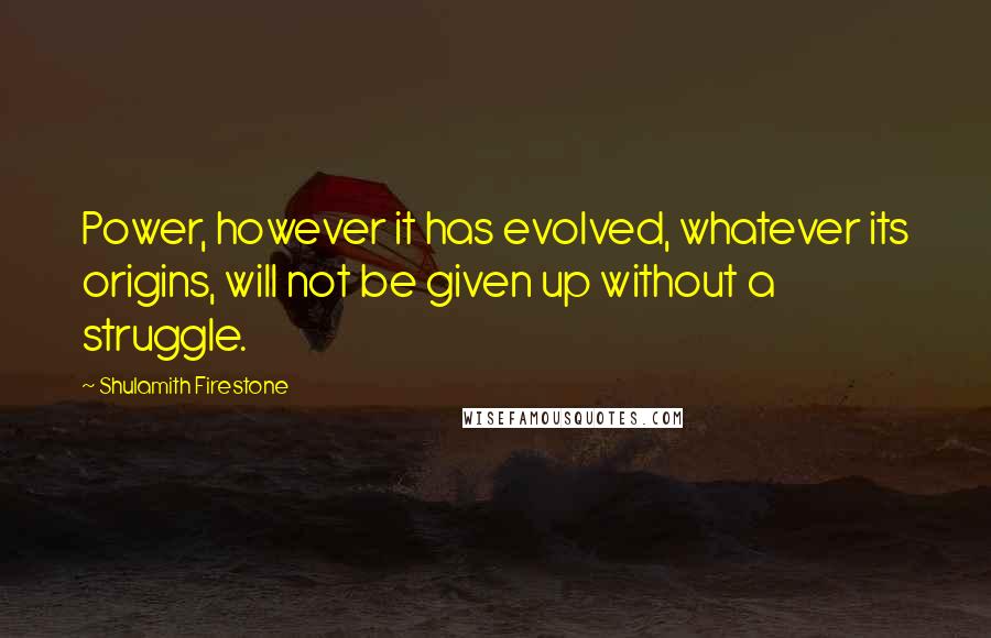 Shulamith Firestone Quotes: Power, however it has evolved, whatever its origins, will not be given up without a struggle.