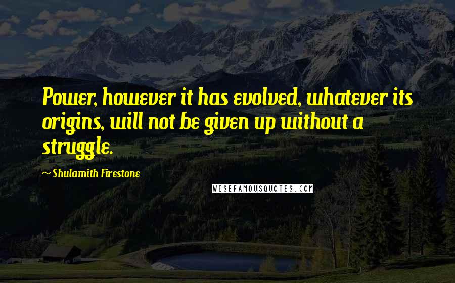 Shulamith Firestone Quotes: Power, however it has evolved, whatever its origins, will not be given up without a struggle.