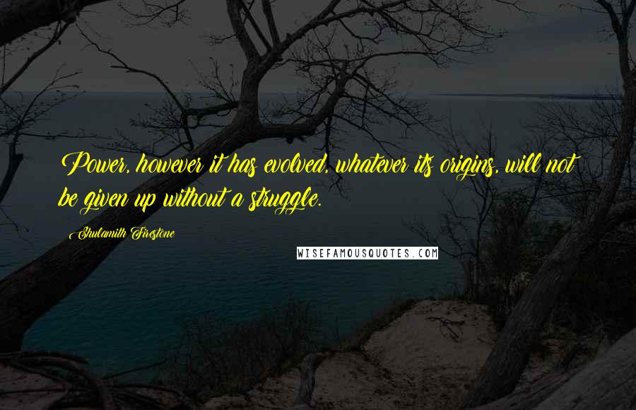 Shulamith Firestone Quotes: Power, however it has evolved, whatever its origins, will not be given up without a struggle.