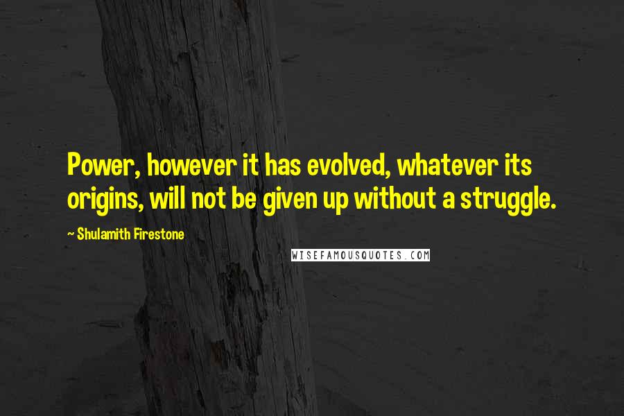 Shulamith Firestone Quotes: Power, however it has evolved, whatever its origins, will not be given up without a struggle.