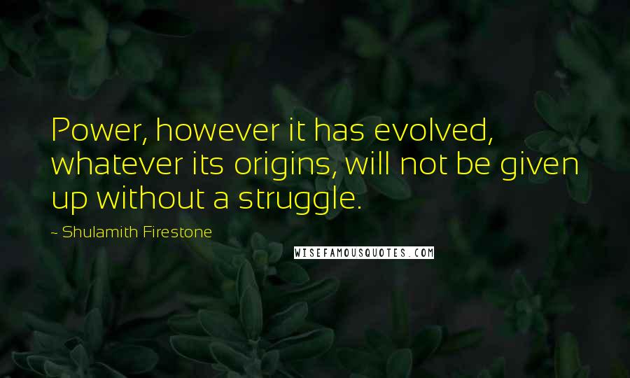 Shulamith Firestone Quotes: Power, however it has evolved, whatever its origins, will not be given up without a struggle.