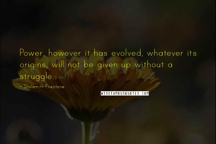 Shulamith Firestone Quotes: Power, however it has evolved, whatever its origins, will not be given up without a struggle.