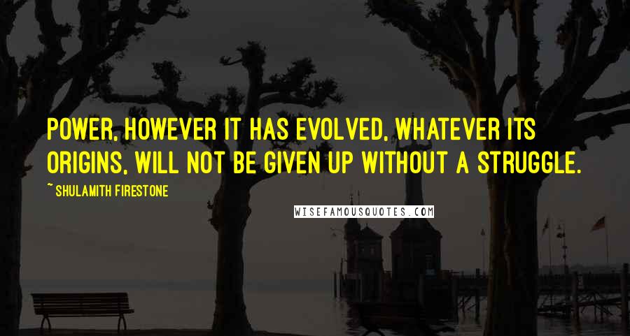 Shulamith Firestone Quotes: Power, however it has evolved, whatever its origins, will not be given up without a struggle.