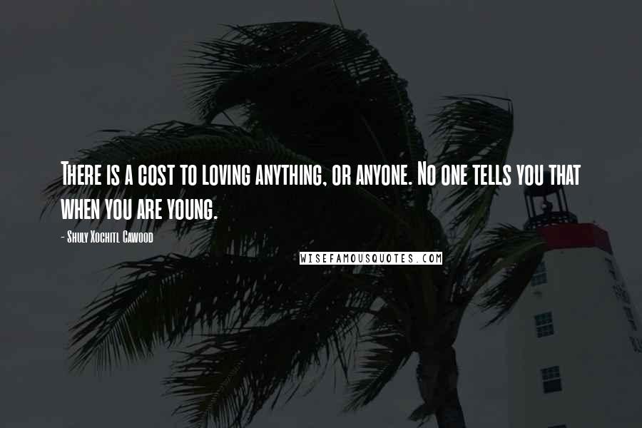 Shuly Xochitl Cawood Quotes: There is a cost to loving anything, or anyone. No one tells you that when you are young.