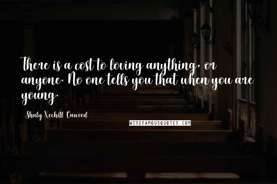 Shuly Xochitl Cawood Quotes: There is a cost to loving anything, or anyone. No one tells you that when you are young.