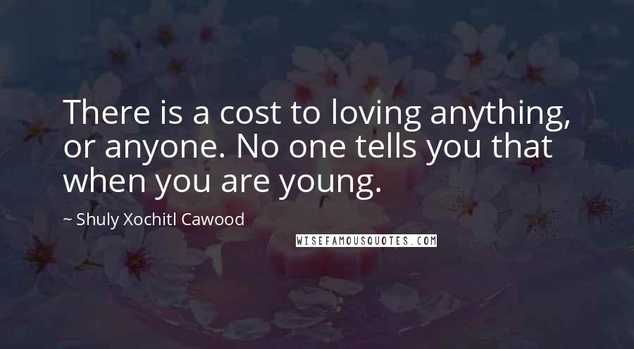 Shuly Xochitl Cawood Quotes: There is a cost to loving anything, or anyone. No one tells you that when you are young.