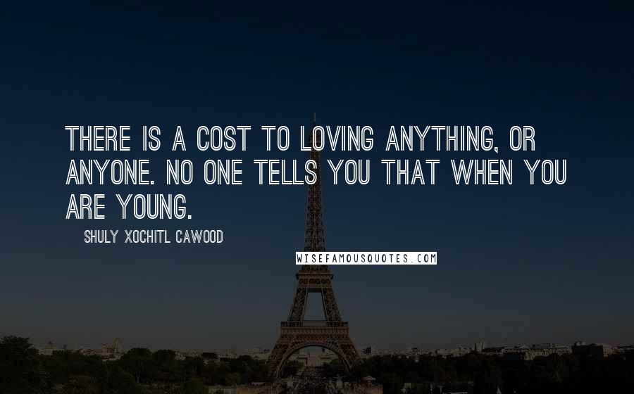 Shuly Xochitl Cawood Quotes: There is a cost to loving anything, or anyone. No one tells you that when you are young.