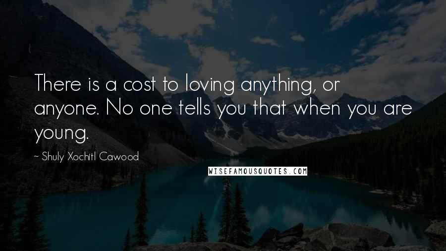 Shuly Xochitl Cawood Quotes: There is a cost to loving anything, or anyone. No one tells you that when you are young.