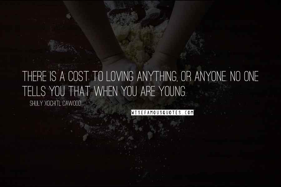 Shuly Xochitl Cawood Quotes: There is a cost to loving anything, or anyone. No one tells you that when you are young.