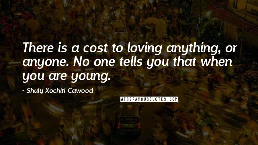 Shuly Xochitl Cawood Quotes: There is a cost to loving anything, or anyone. No one tells you that when you are young.