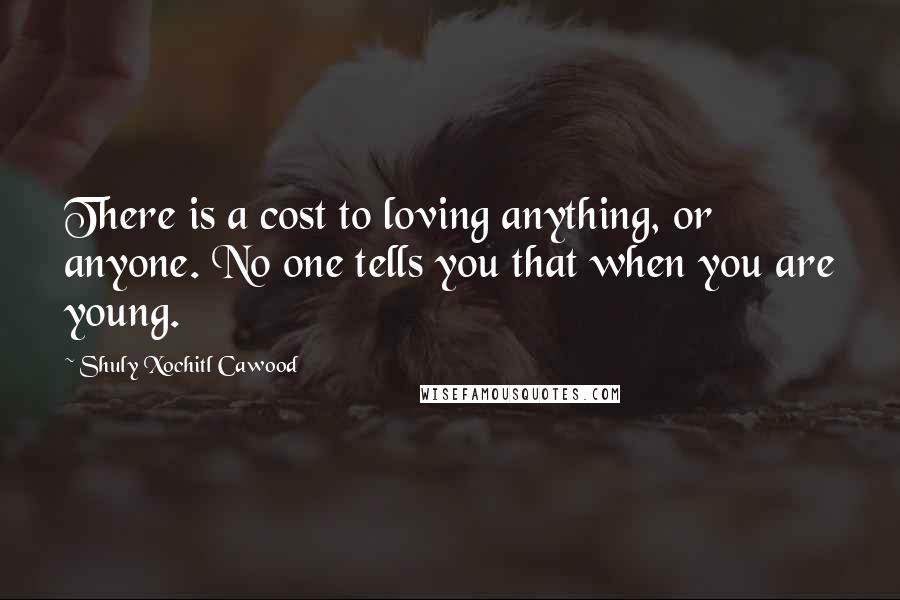 Shuly Xochitl Cawood Quotes: There is a cost to loving anything, or anyone. No one tells you that when you are young.