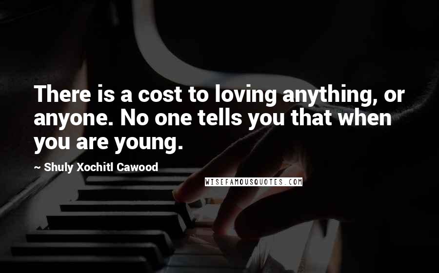 Shuly Xochitl Cawood Quotes: There is a cost to loving anything, or anyone. No one tells you that when you are young.