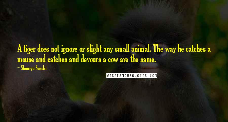 Shunryu Suzuki Quotes: A tiger does not ignore or slight any small animal. The way he catches a mouse and catches and devours a cow are the same.