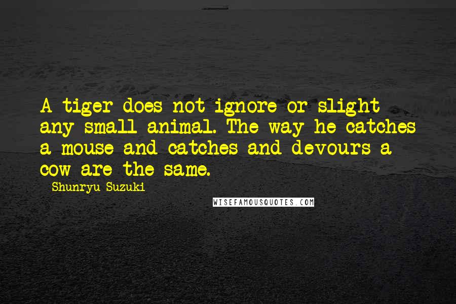 Shunryu Suzuki Quotes: A tiger does not ignore or slight any small animal. The way he catches a mouse and catches and devours a cow are the same.