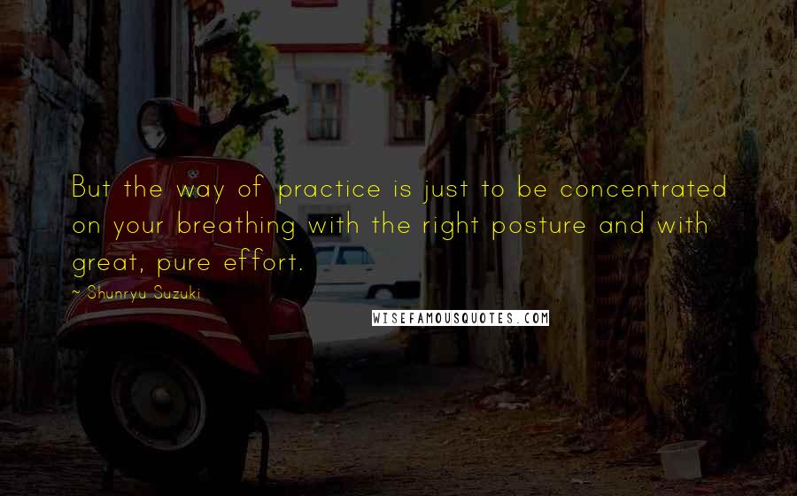 Shunryu Suzuki Quotes: But the way of practice is just to be concentrated on your breathing with the right posture and with great, pure effort.