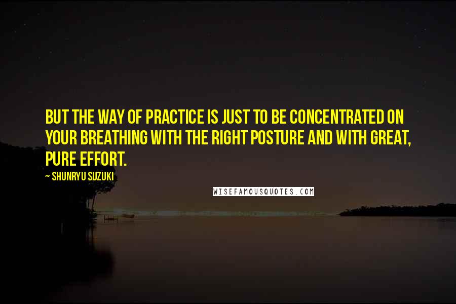 Shunryu Suzuki Quotes: But the way of practice is just to be concentrated on your breathing with the right posture and with great, pure effort.