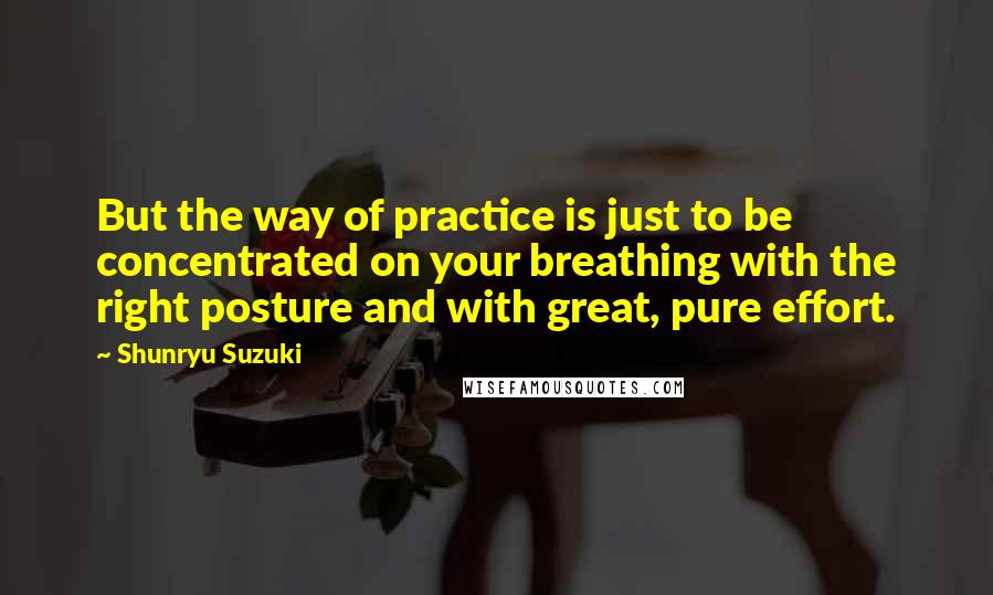 Shunryu Suzuki Quotes: But the way of practice is just to be concentrated on your breathing with the right posture and with great, pure effort.