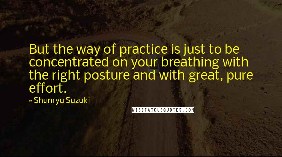 Shunryu Suzuki Quotes: But the way of practice is just to be concentrated on your breathing with the right posture and with great, pure effort.