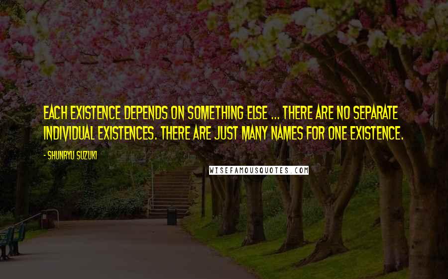 Shunryu Suzuki Quotes: Each existence depends on something else ... there are no separate individual existences. There are just many names for one existence.