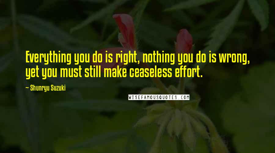 Shunryu Suzuki Quotes: Everything you do is right, nothing you do is wrong, yet you must still make ceaseless effort.