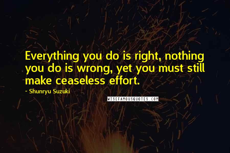 Shunryu Suzuki Quotes: Everything you do is right, nothing you do is wrong, yet you must still make ceaseless effort.