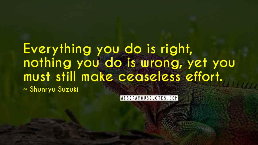 Shunryu Suzuki Quotes: Everything you do is right, nothing you do is wrong, yet you must still make ceaseless effort.