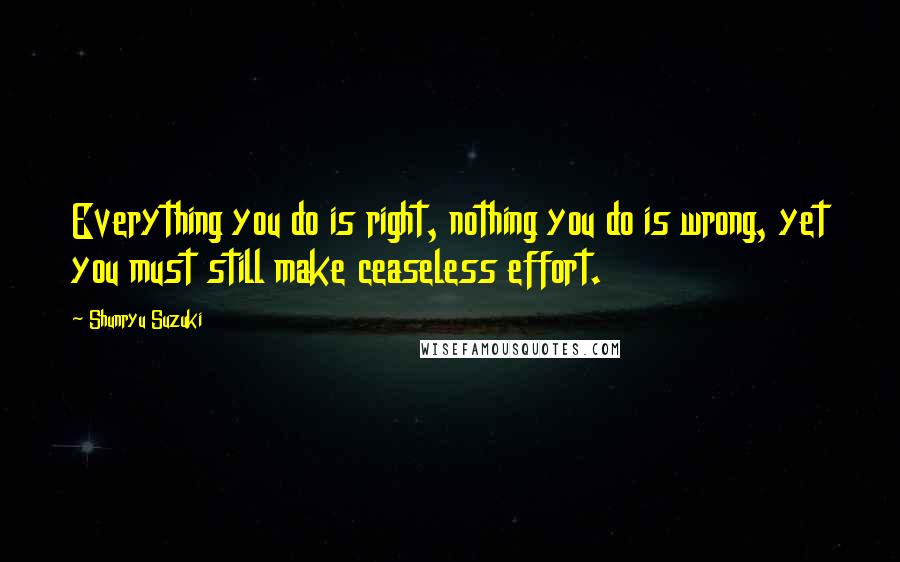 Shunryu Suzuki Quotes: Everything you do is right, nothing you do is wrong, yet you must still make ceaseless effort.