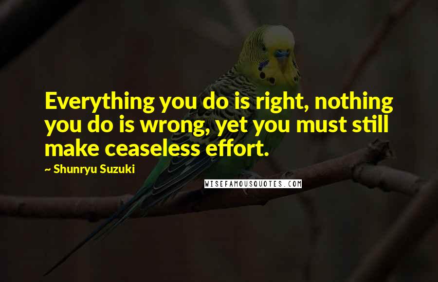 Shunryu Suzuki Quotes: Everything you do is right, nothing you do is wrong, yet you must still make ceaseless effort.