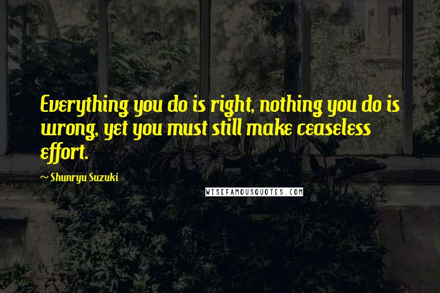 Shunryu Suzuki Quotes: Everything you do is right, nothing you do is wrong, yet you must still make ceaseless effort.