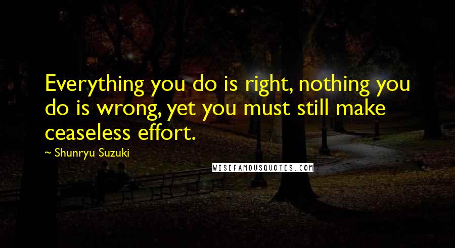 Shunryu Suzuki Quotes: Everything you do is right, nothing you do is wrong, yet you must still make ceaseless effort.