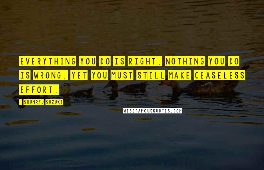 Shunryu Suzuki Quotes: Everything you do is right, nothing you do is wrong, yet you must still make ceaseless effort.