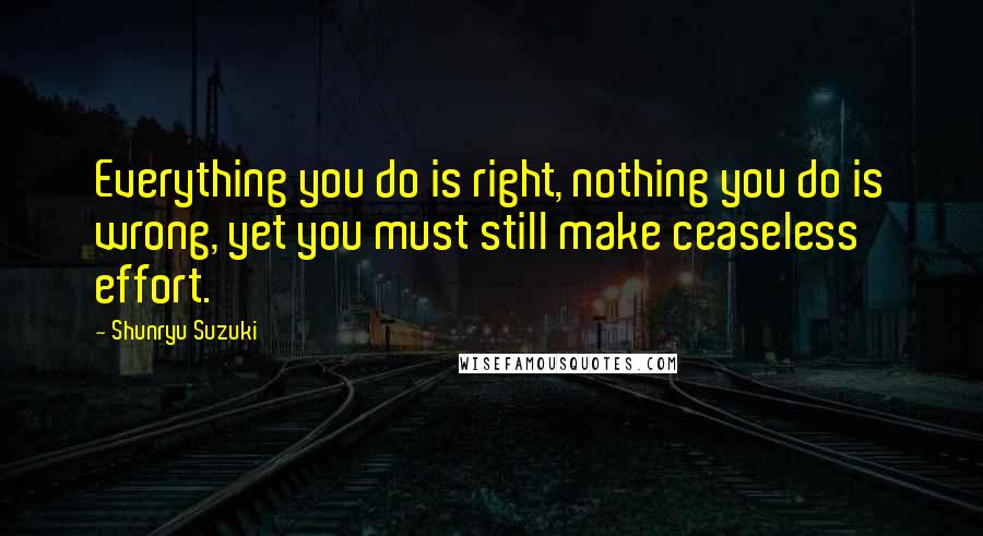Shunryu Suzuki Quotes: Everything you do is right, nothing you do is wrong, yet you must still make ceaseless effort.