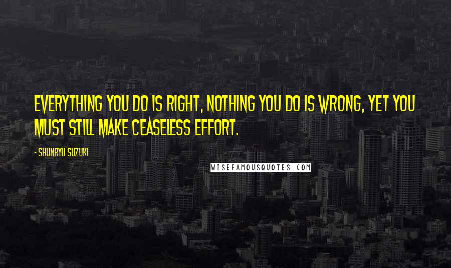 Shunryu Suzuki Quotes: Everything you do is right, nothing you do is wrong, yet you must still make ceaseless effort.