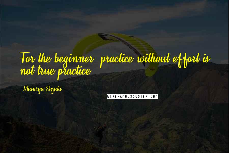 Shunryu Suzuki Quotes: For the beginner, practice without effort is not true practice.