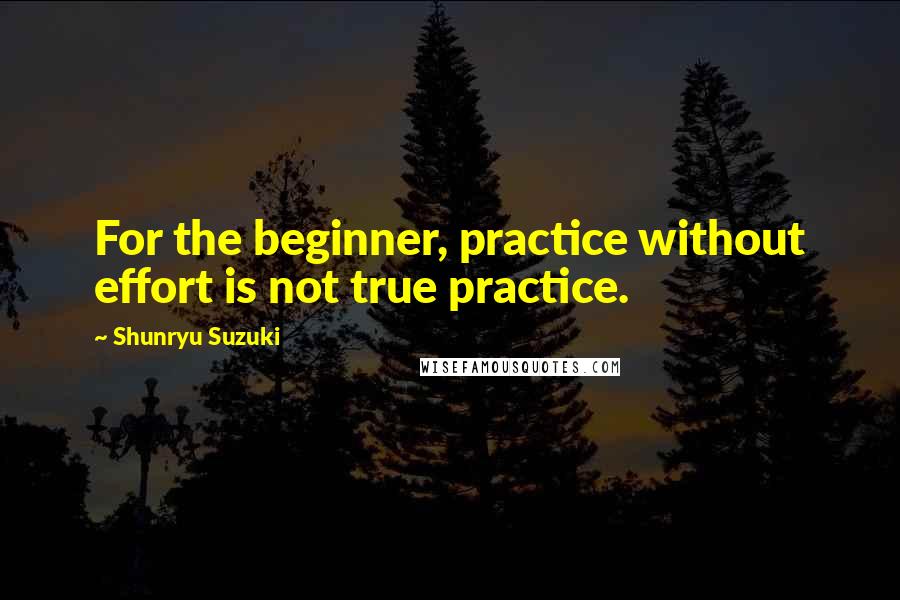 Shunryu Suzuki Quotes: For the beginner, practice without effort is not true practice.