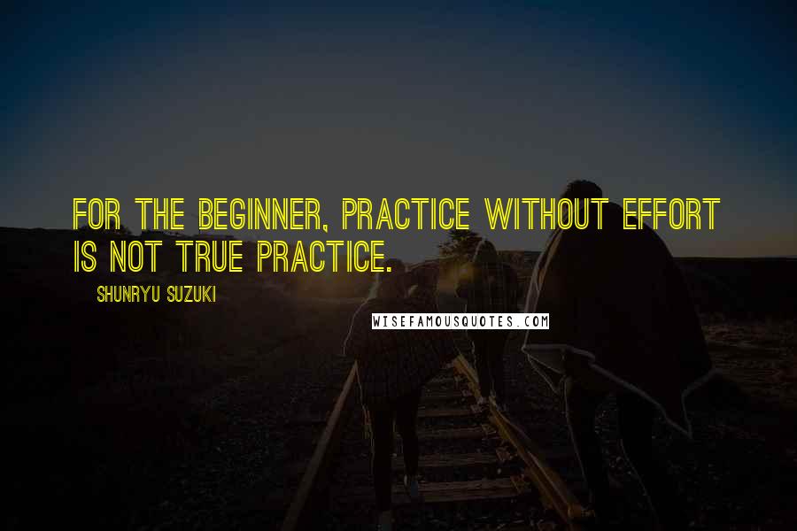 Shunryu Suzuki Quotes: For the beginner, practice without effort is not true practice.