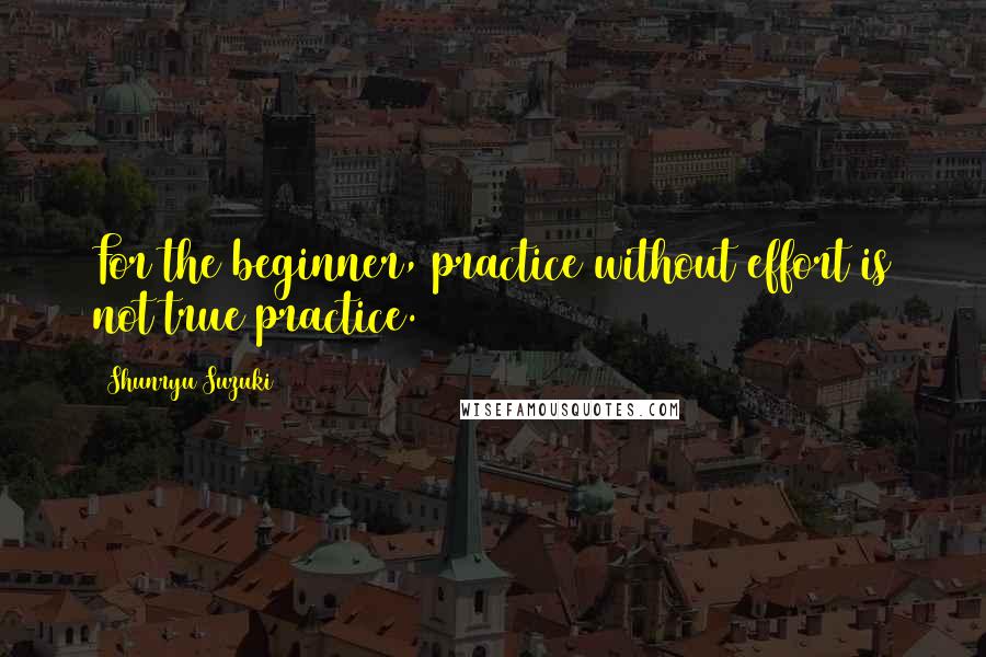 Shunryu Suzuki Quotes: For the beginner, practice without effort is not true practice.