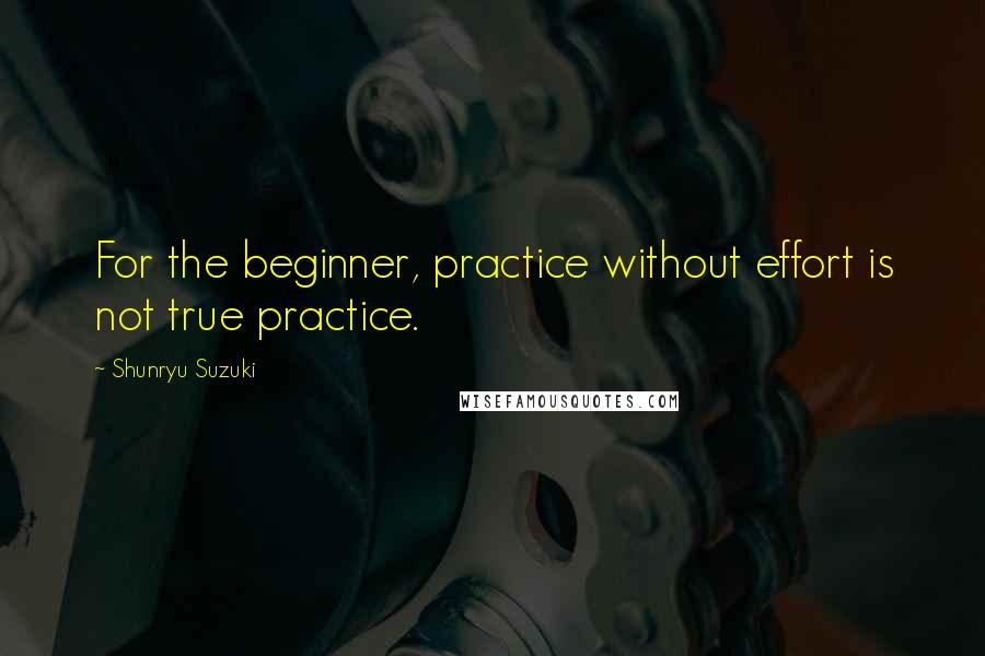 Shunryu Suzuki Quotes: For the beginner, practice without effort is not true practice.