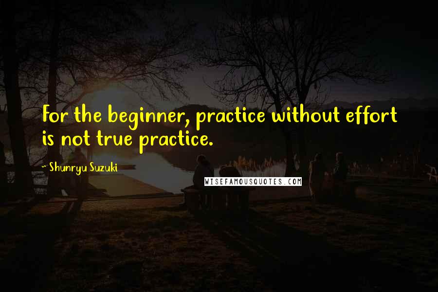 Shunryu Suzuki Quotes: For the beginner, practice without effort is not true practice.