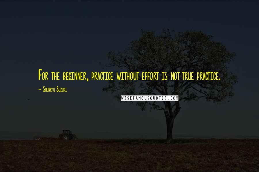 Shunryu Suzuki Quotes: For the beginner, practice without effort is not true practice.