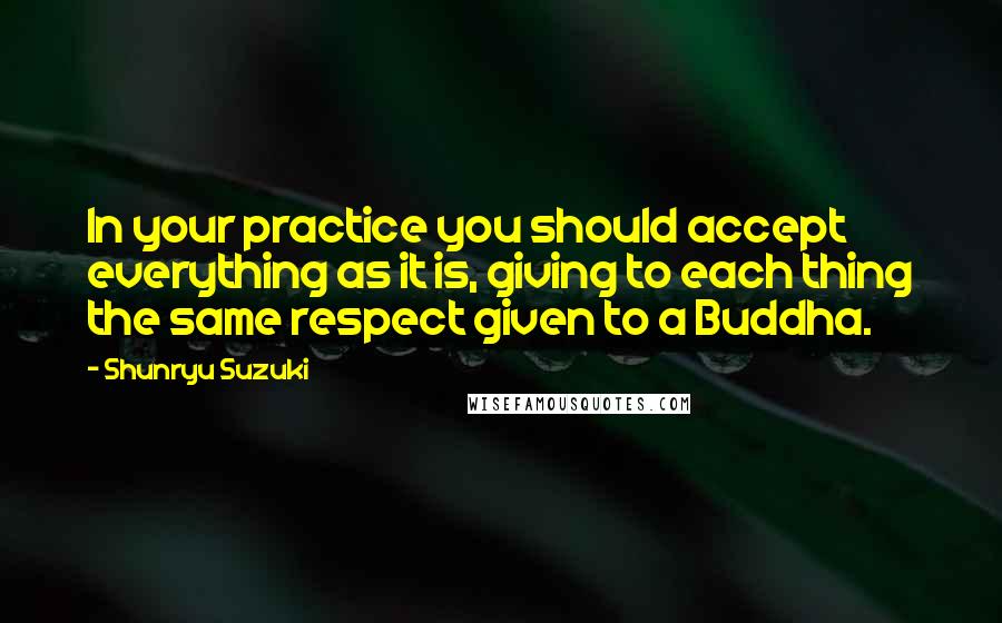 Shunryu Suzuki Quotes: In your practice you should accept everything as it is, giving to each thing the same respect given to a Buddha.