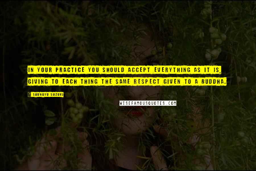 Shunryu Suzuki Quotes: In your practice you should accept everything as it is, giving to each thing the same respect given to a Buddha.