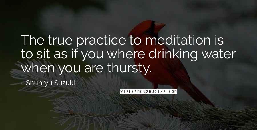 Shunryu Suzuki Quotes: The true practice to meditation is to sit as if you where drinking water when you are thursty.