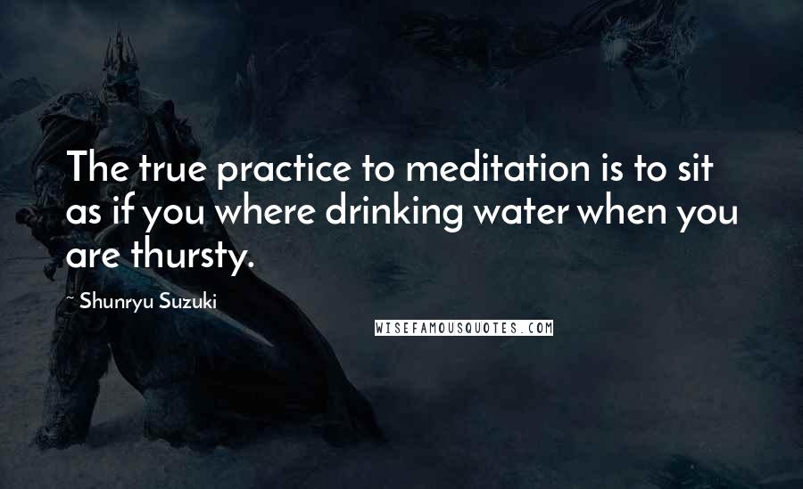 Shunryu Suzuki Quotes: The true practice to meditation is to sit as if you where drinking water when you are thursty.