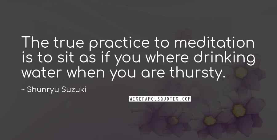 Shunryu Suzuki Quotes: The true practice to meditation is to sit as if you where drinking water when you are thursty.