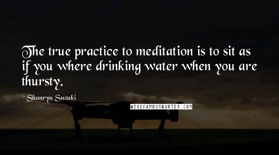 Shunryu Suzuki Quotes: The true practice to meditation is to sit as if you where drinking water when you are thursty.